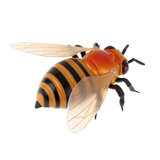 Pszczoła RC zdalnie sterowana + pilot