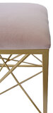 Pufa puf "Exclusive III" - złote nogi + welurowe siedzisko 2 kolory  